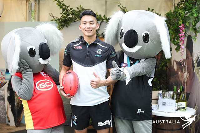 afl澳洲足球联盟,afl足球联赛