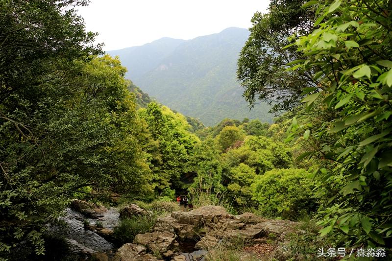 云顶大峡谷攻略,云顶大峡谷景区