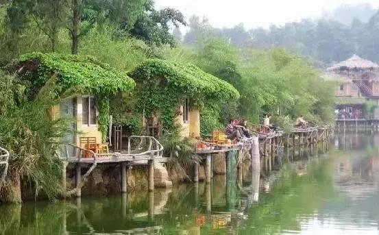 海南推出1000个共享农庄,海南共享农庄批几个村庄