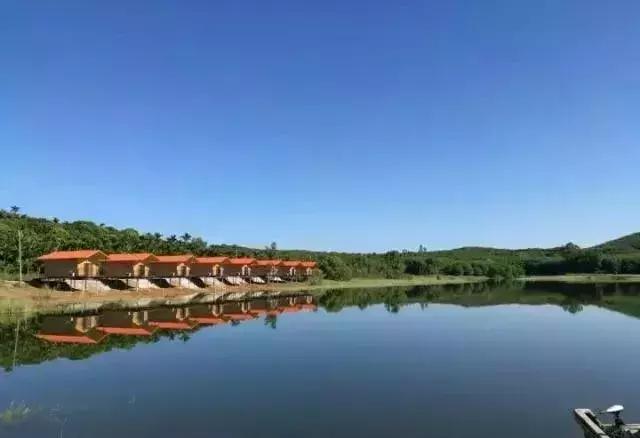 海南共享农庄批几个村庄,海南2019年首批共享农庄