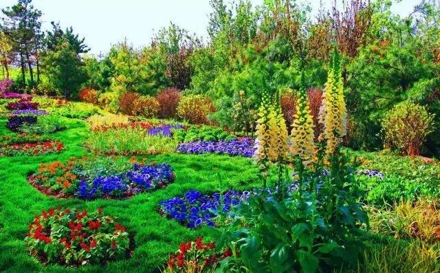 海南共享农庄批几个村庄,海南2019年首批共享农庄