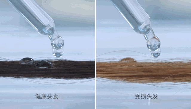 最不建议买的戴森吹风机,我为什么花三千块钱买戴森吹风机