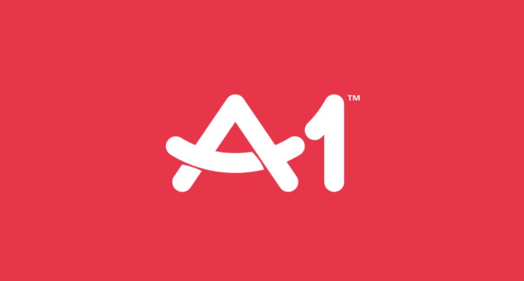 资本大佬和明星的晚会,资本大佬闪亮登场