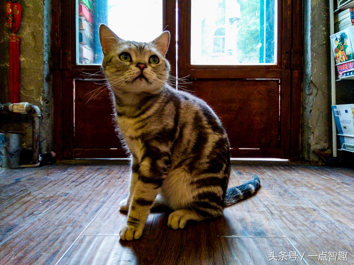 诺基亚x60多少钱一台,好用便宜的诺基亚拍照手机