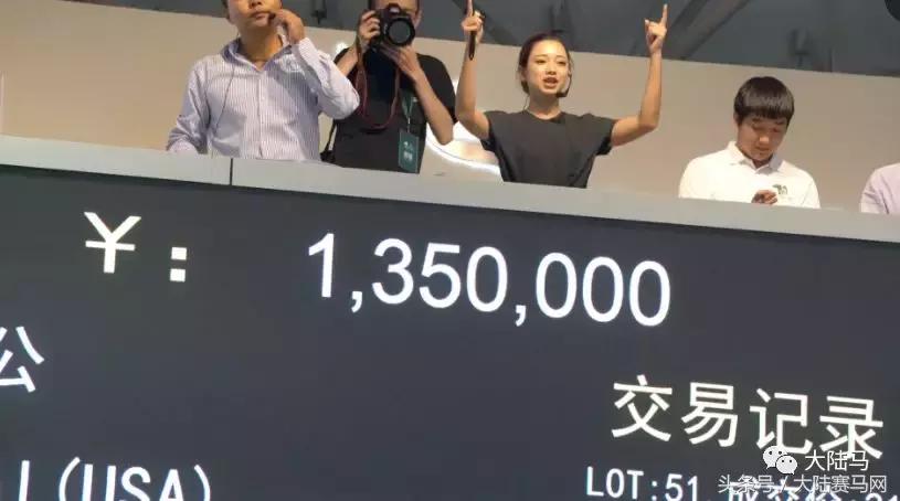 均价超30万，总成交价1300万！半数新马主成玉龙纯血马拍卖会主力