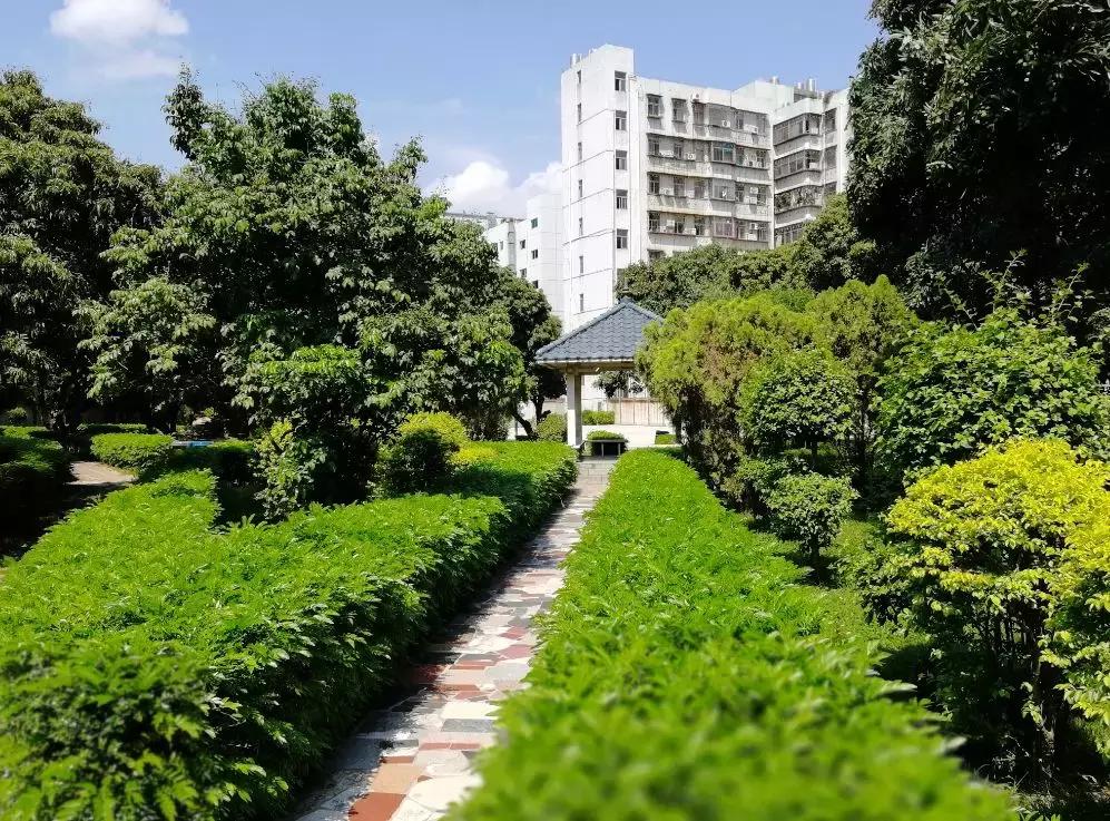 深圳宝安区一套370平多少钱,宝安区50个平方家装要多少钱