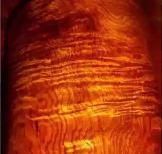 海南黄花梨木品种大全,名贵木材海南黄花梨