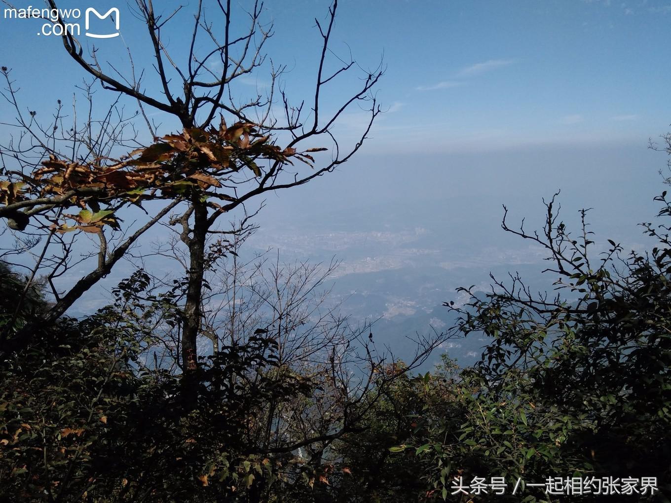 张家界机场到天门山自由行攻略,张家界天门山一日游攻略省钱