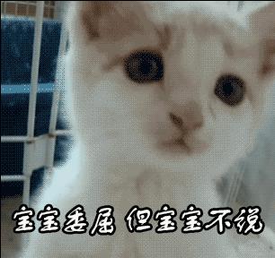 奇葩姓氏欢乐多！那个叫上床美也和肛门强的，请问你在哪个研究所