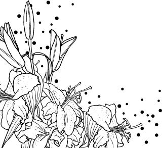 猎奇｜一次葡萄酒作为*情催**大师的实验