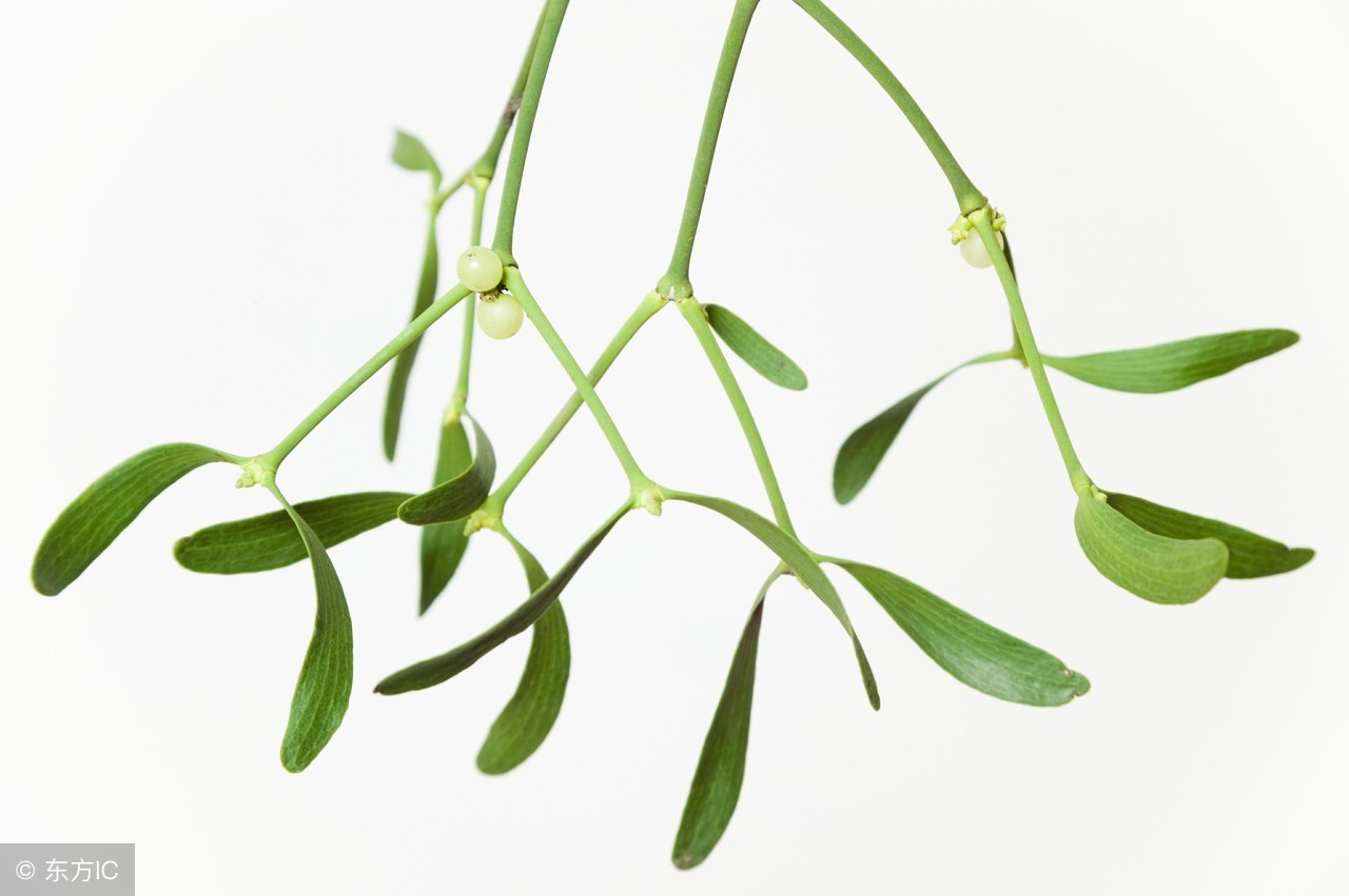 鏈夋病鏈夊繀瑕佹煡灏侀棴鎶椾綋,灏侀棴鎶椾綋鍏嶇柅娌荤枟鍒板簳瑕佷笉瑕佸仛