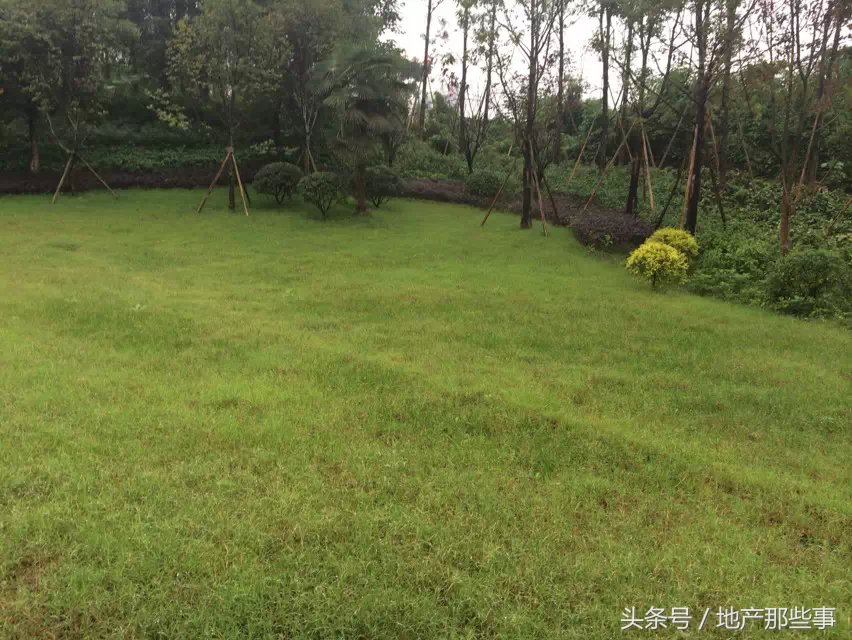 大学城西永融创融鼎城怎样,重庆西永大学城房子怎么样