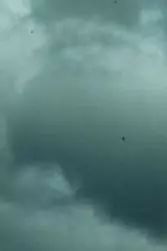 围观奇云社长的长相，都是泼墨给弄的！