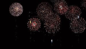 见不得撒狗粮！但这波操作，真的服气！