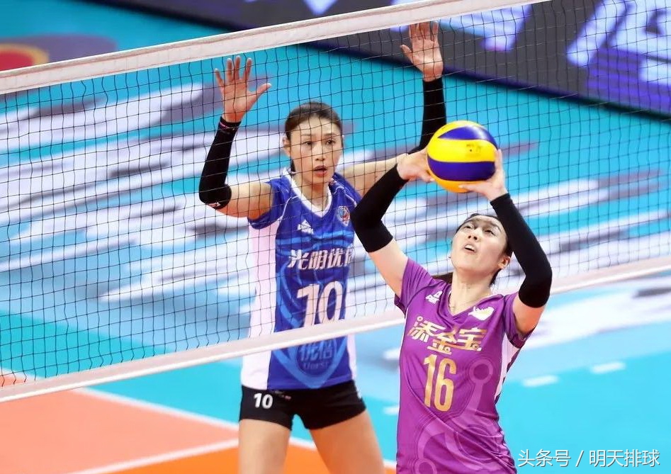 中国女排联赛情况,女排国内联赛