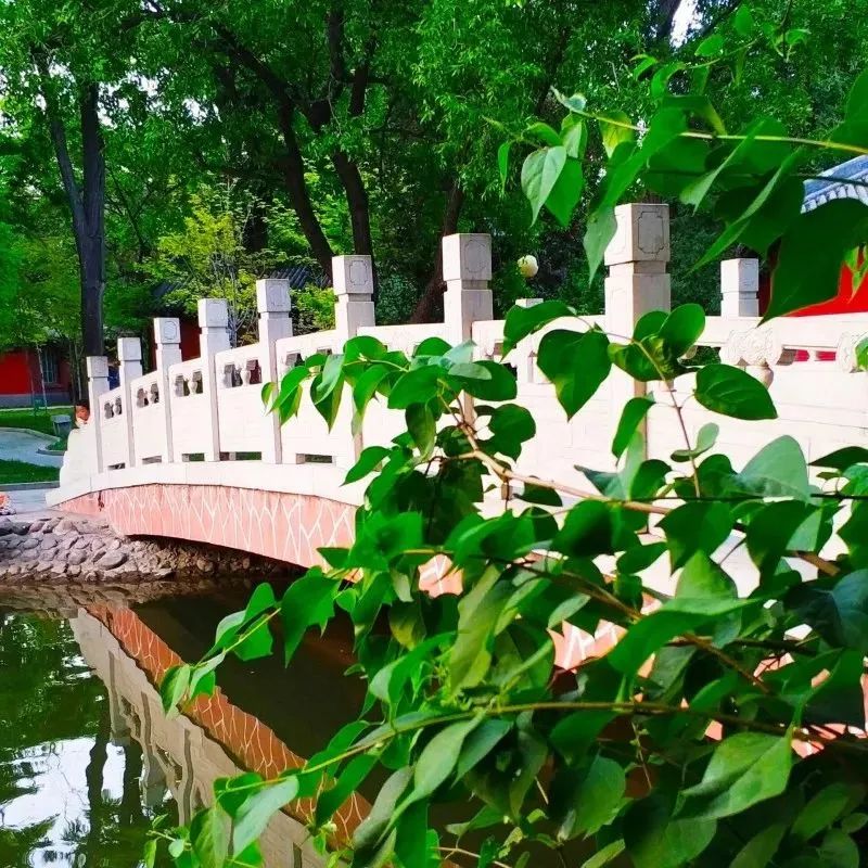 520绿幕素材我对你不仅仅是喜欢,520不仅仅代表爱情