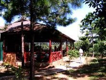 火山岛高岛图片,火山岛中岛