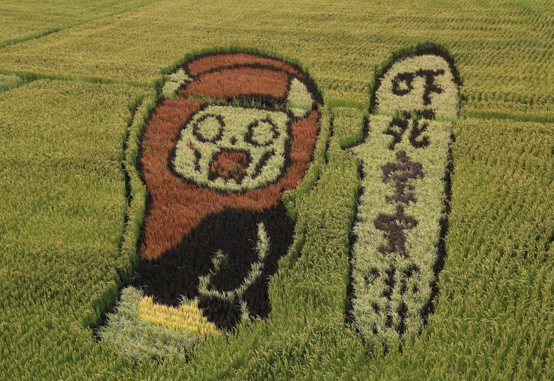 现在搞什么农业项目赚钱,做农业想赚钱必须要有新的模式