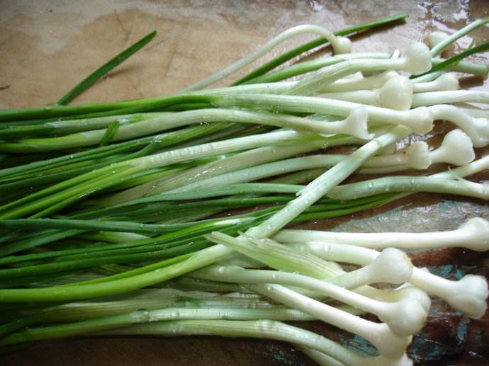 吃得苦中苦方为人上人早安图片,吃得苦中苦方为人上人前后文