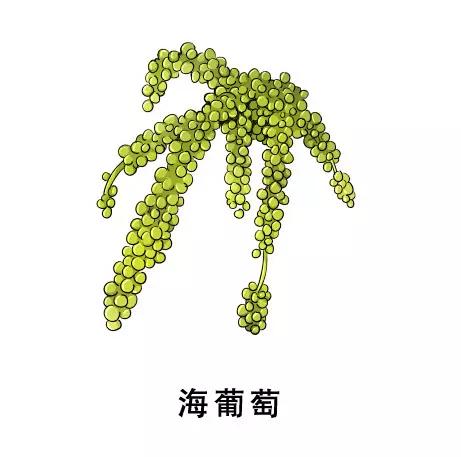 数博会行程,数博会放假地区有哪些