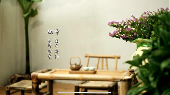 扬州半闲楼古风美宿特色民宿,藏于山水间清净雅致的民宿