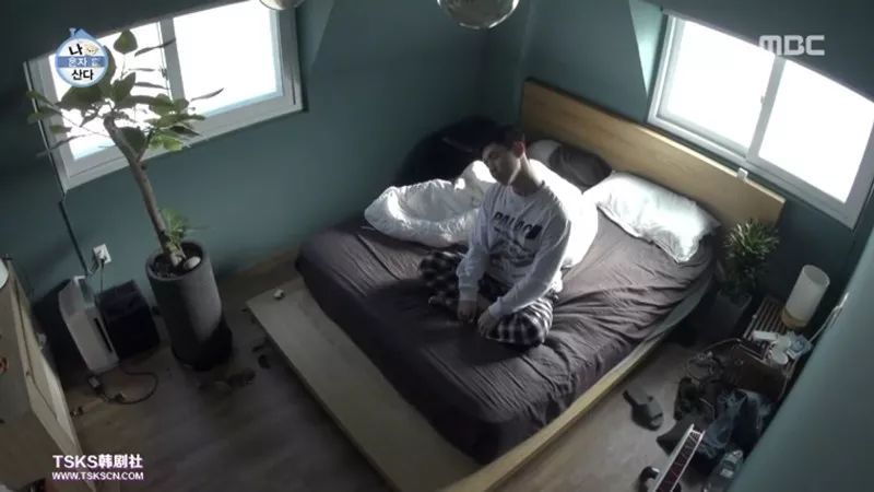 向往的生活被人怼,向往的生活每季装修