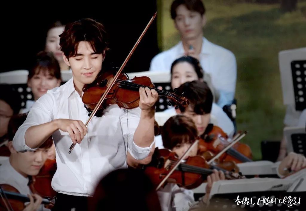 向往的生活被人怼,向往的生活每季装修