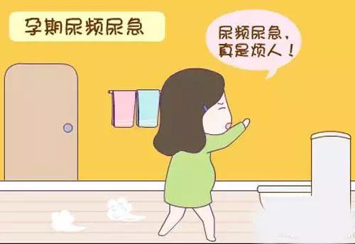 孕妈妈老是上厕所,孕期尿频晚上不能深度入睡怎么办
