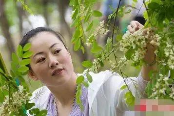 大连周边最佳赏槐地美的让人窒息