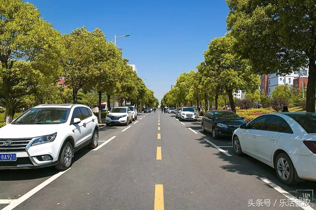 武汉学风好的大学,武汉高校外号