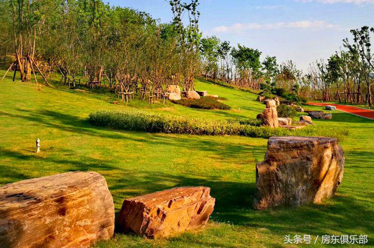 为何“正商系”要在追求品质的路上狂奔？