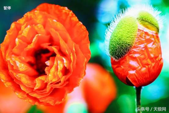 32寸ai智慧语音全面屏顶配电视,海信电视e72a