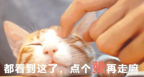 孕早期中药保胎会导致胎儿畸形吗,抑制宫缩的保胎药对胎儿有影响吗