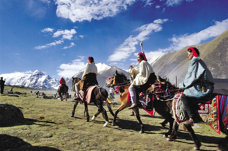 体验挖虫草视频大全,虫草采摘视频完整版