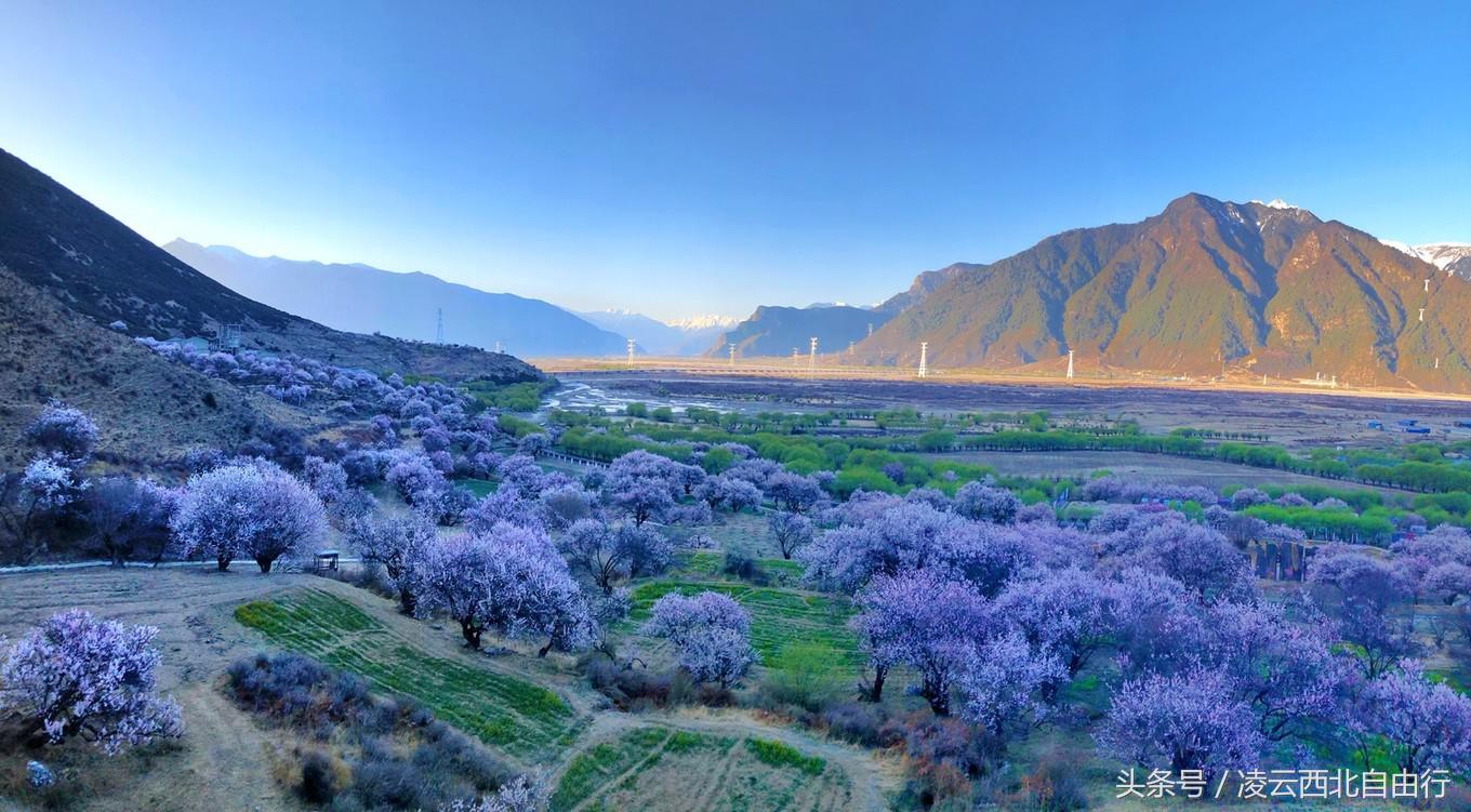 行，为寻三生三世桃花，却爱上了*藏西**的那抹蓝