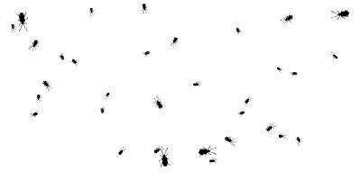 女子持续发烧,女子连续发烧三天39度