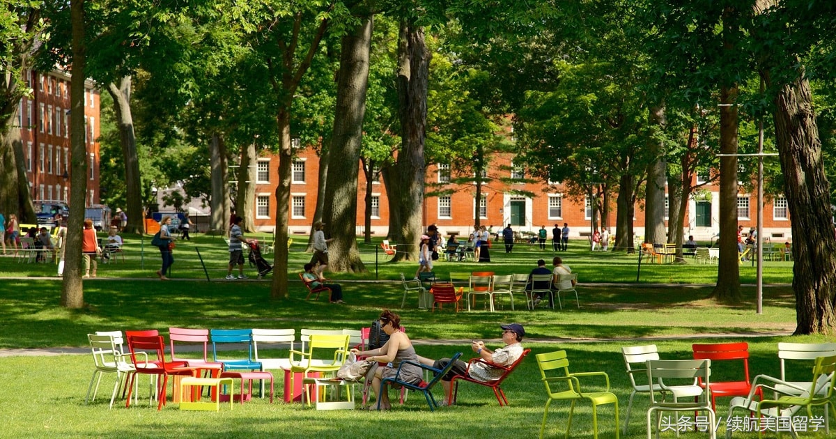 被认定为考试作弊的考生如何处理,面对作弊我们能干嘛