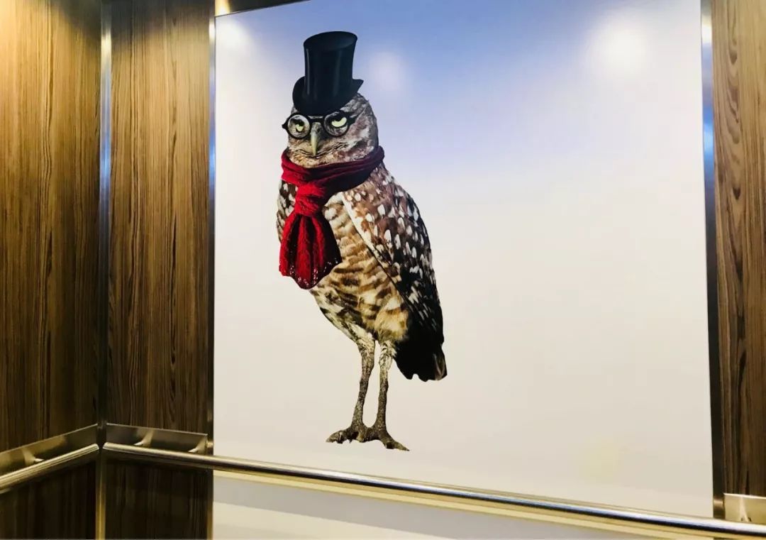 海洋量子号邮轮参观,海洋量子号邮轮航行航拍视频