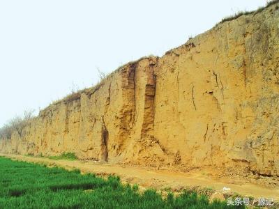 郑州年收入百万做什么生意,郑州年收入百万有钱吗