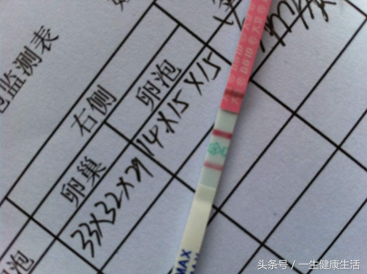 排卵时身体有哪些信号容易怀孕,排卵的最初征兆3-7天