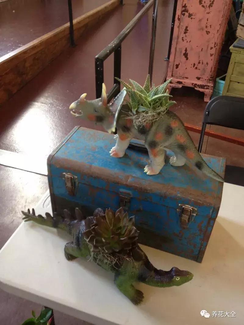 老外私家花园景观,国外多肉花园