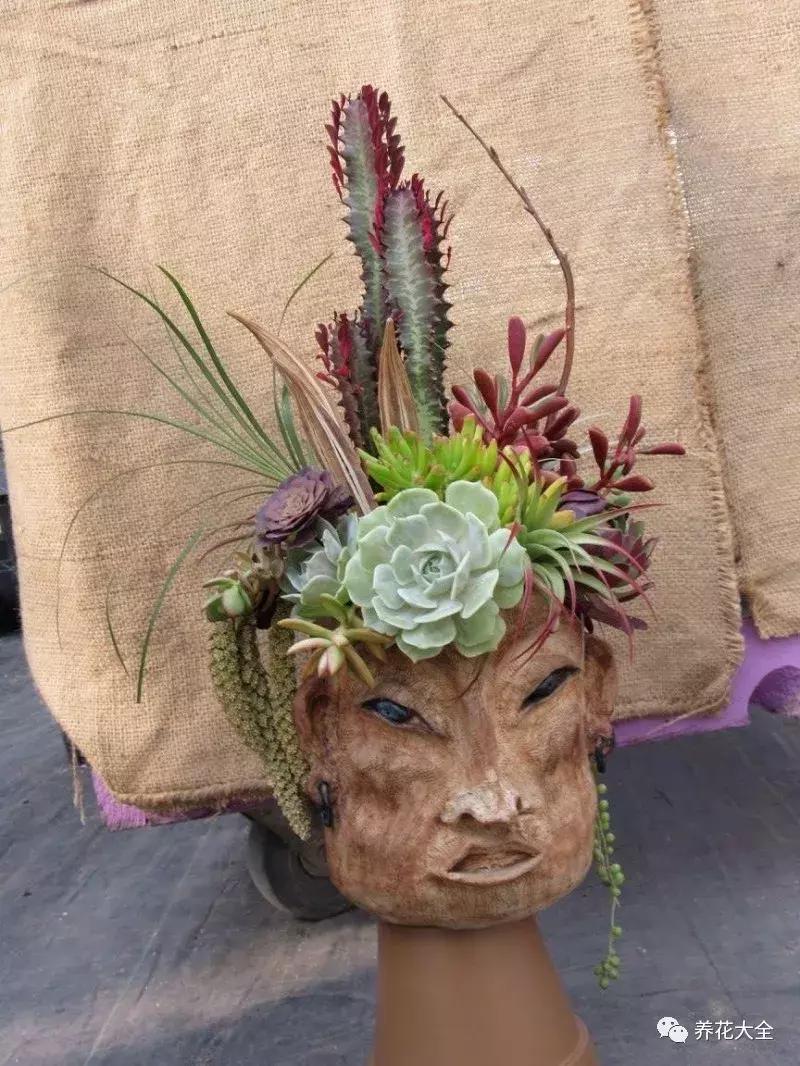 老外私家花园景观,国外多肉花园