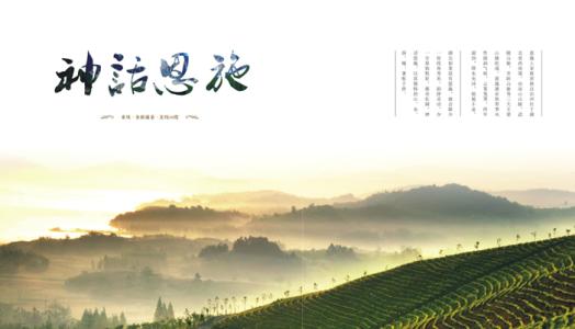 天然抗生素的代表药物,哪种食物是天然抗生素