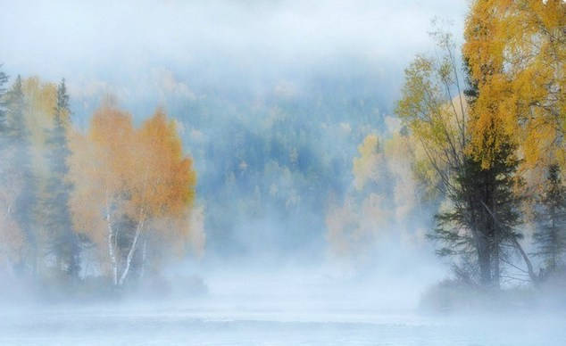 写出关于描写黄河的古诗词,描写黄河的古诗词有哪些