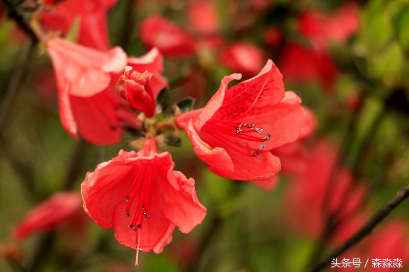 火山爆发后形成的著名景点,火山喷发会形成哪些景点