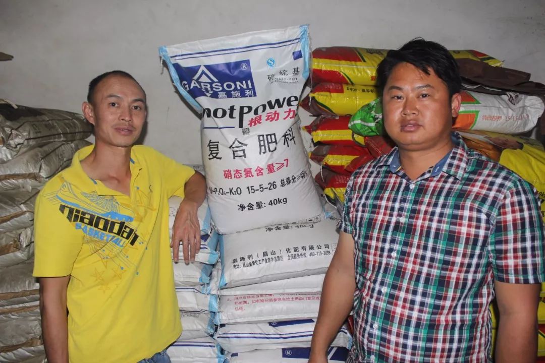 芒果幼果期氨基酸水溶肥,芒果营养肥