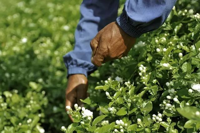 皮肤缺水怎么紧急补救,皮肤缺水过度怎么补救