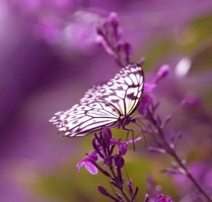 不怕别人对你使坏就怕别人对你好,不怕你占便宜就怕代价太大
