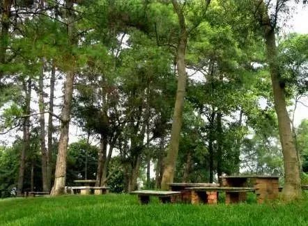 南宁烧烤去哪里好玩,2021年南宁市适合烧烤的地方