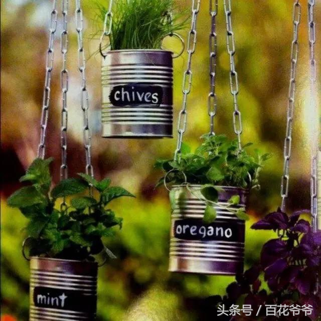 把瓶子变废为宝种花,玻璃瓶子变花盆怎么变废为宝